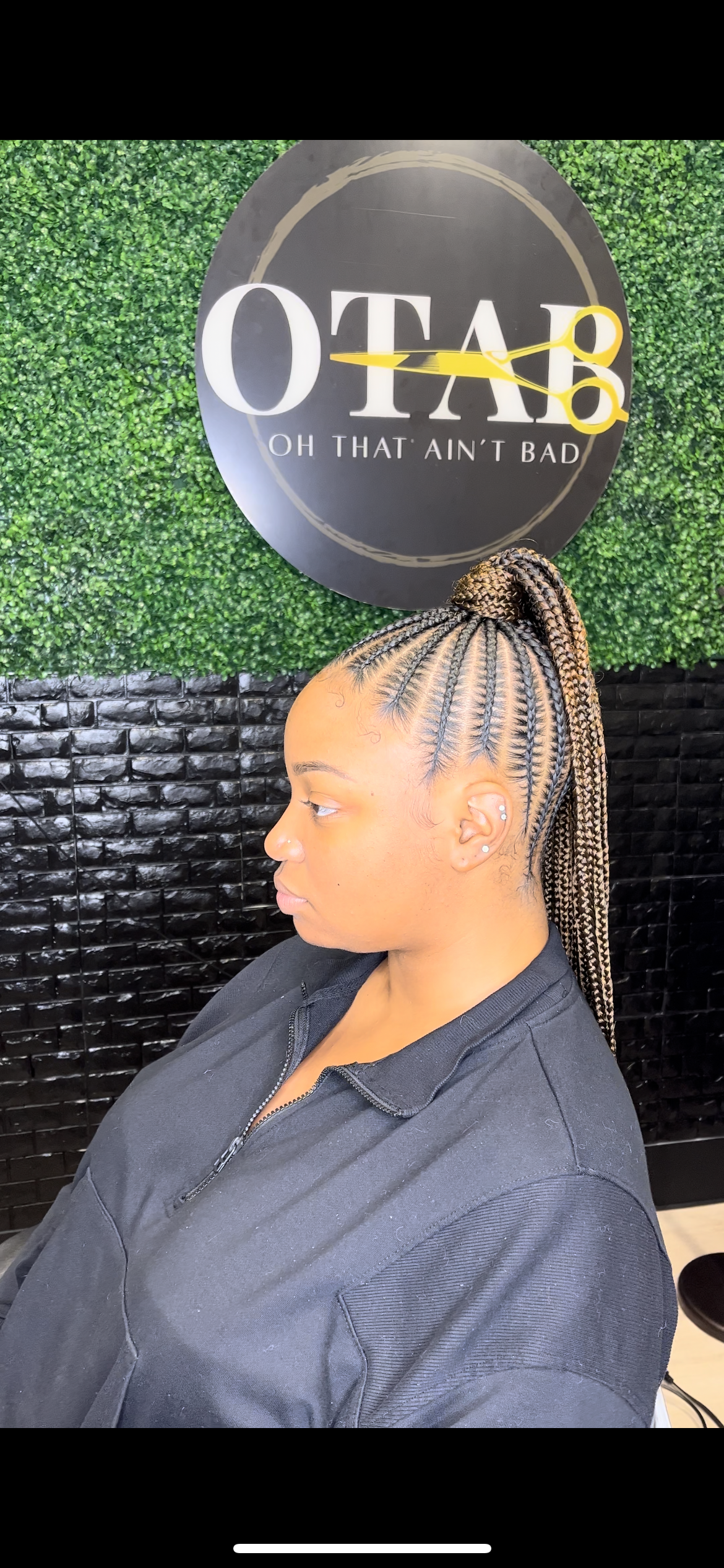 Braided Ponytail (smaller braids)